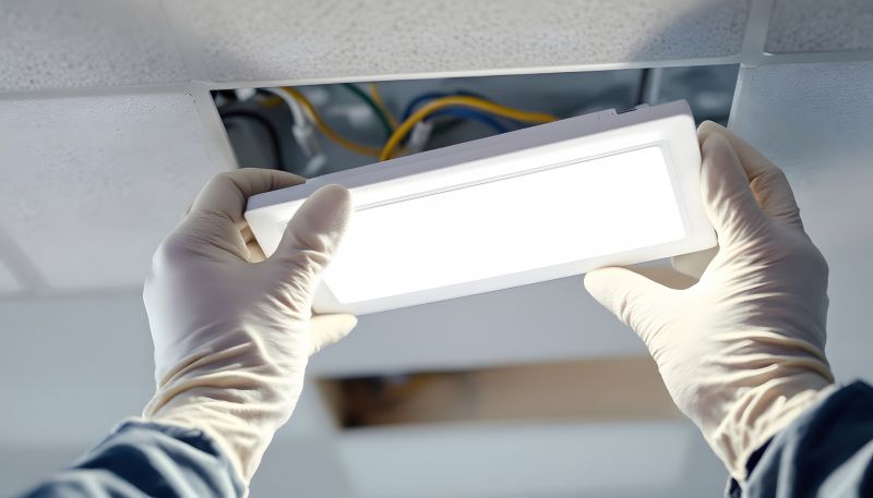 Local Accent Lights Installation in Howell, MI