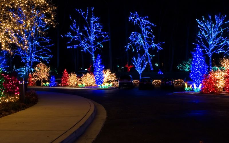 Local Accent Lights Installation in Prescott, AZ