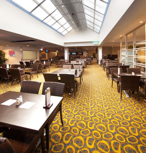 Bistro Lights Installation Service